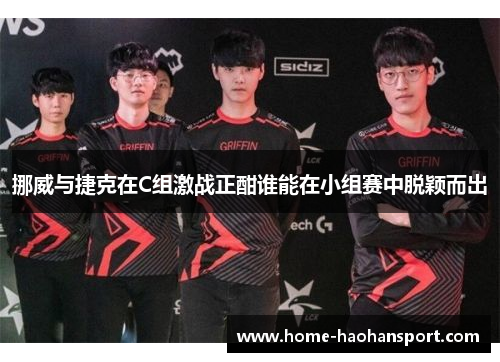 挪威与捷克在C组激战正酣谁能在小组赛中脱颖而出